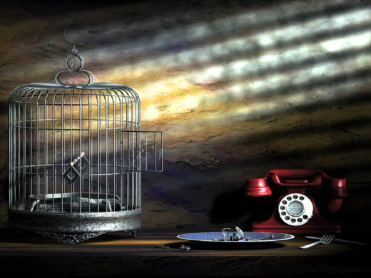 4966 (a): :1024x768